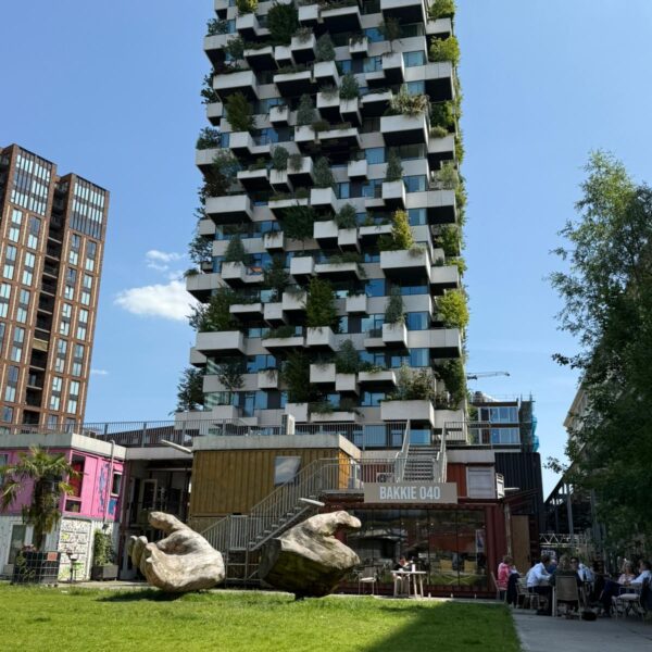 WhatsApp Image 2026-02-24 at 11.53.42 (1)