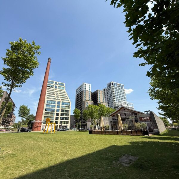 WhatsApp Image 2026-02-24 at 11.53.42 (4)